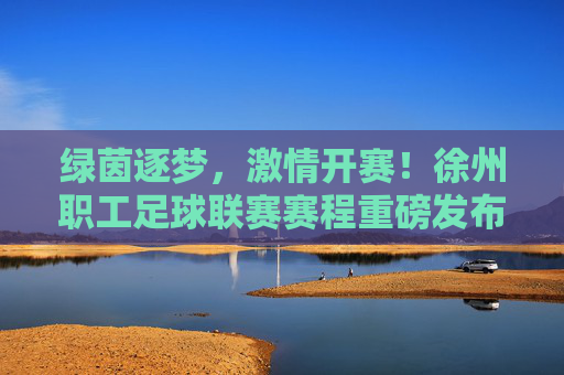 绿茵逐梦,激情开赛!徐州职工足球联赛赛程重磅发布