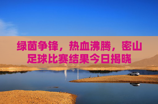 绿茵争锋,热血沸腾,密山足球比赛结果今日揭晓