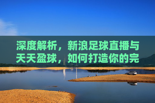 深度解析,新浪足球直播与天天盈球,如何打造你的完美观赛体验