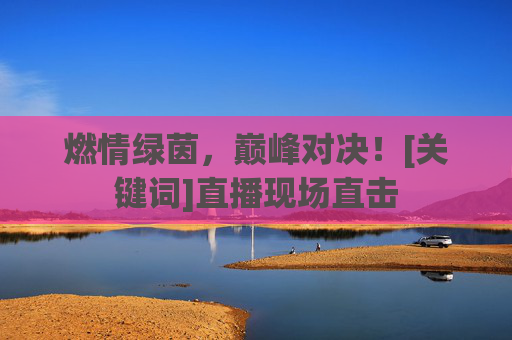 燃情绿茵，巅峰对决！[关键词]直播现场直击