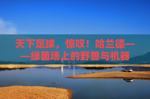 天下足球，惊叹！哈兰德——绿茵场上的野兽与机器