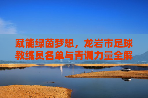 赋能绿茵梦想，龙岩市足球教练员名单与青训力量全解析