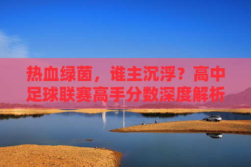 热血绿茵,谁主沉浮?高中足球联赛高手分数深度解析