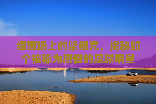 绿茵场上的紧箍咒,揭秘那个被称为唐僧的足球明星