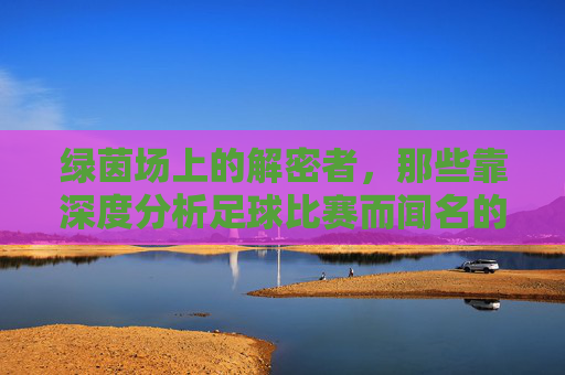 绿茵场上的解密者,那些靠深度分析足球比赛而闻名的人物