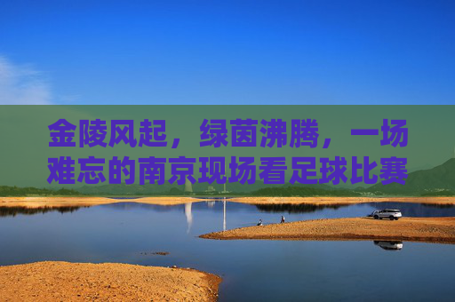 金陵风起，绿茵沸腾，一场难忘的南京现场看足球比赛体验