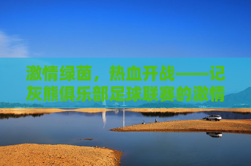 激情绿茵,热血开战——记灰熊俱乐部足球联赛的激情与荣耀