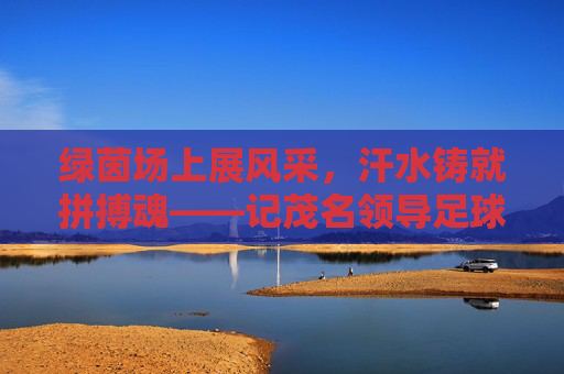 绿茵场上展风采,汗水铸就拼搏魂——记茂名领导足球队员