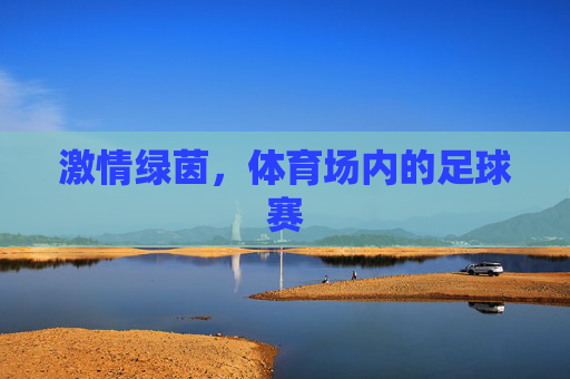 激情绿茵,体育场内的足球赛