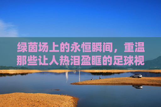 绿茵场上的永恒瞬间,重温那些让人热泪盈眶的足球视频经典一刻