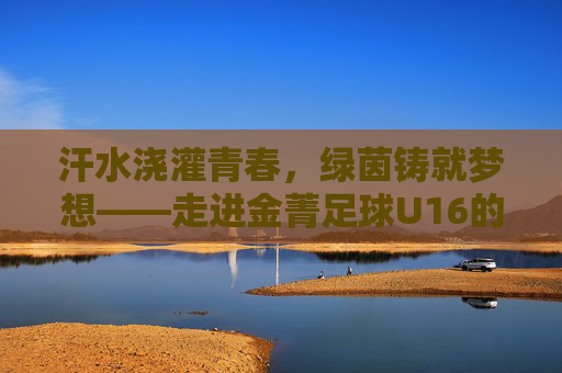 汗水浇灌青春，绿茵铸就梦想——走进金菁足球U16的逐梦征程