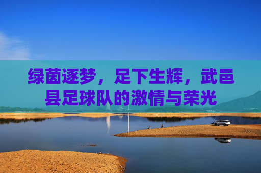 绿茵逐梦,足下生辉,武邑县足球队的激情与荣光
