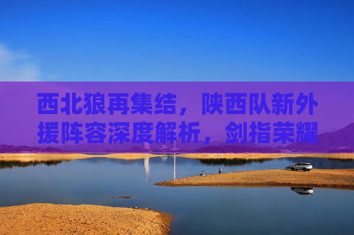 西北狼再集结,陕西队新外援阵容深度解析,剑指荣耀