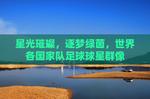 星光璀璨,逐梦绿茵,世界各国家队足球球星群像