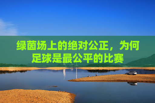 绿茵场上的绝对公正,为何足球是最公平的比赛