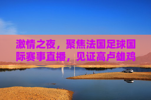 激情之夜，聚焦法国足球国际赛事直播，见证高卢雄鸡的荣耀时刻
