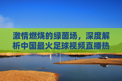 激情燃烧的绿茵场，深度解析中国最火足球视频直播热潮