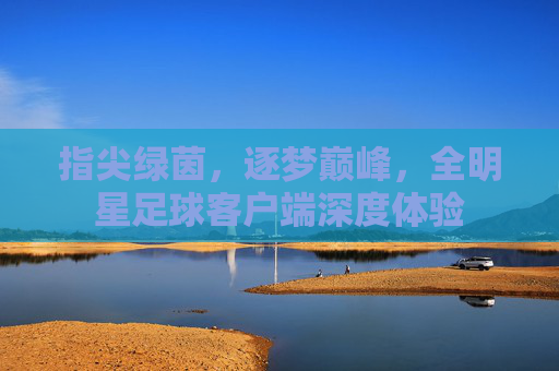 指尖绿茵,逐梦巅峰,全明星足球客户端深度体验
