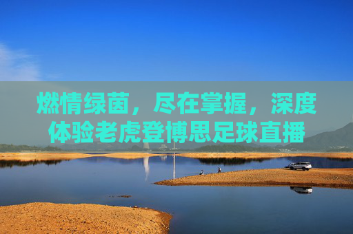 燃情绿茵，尽在掌握，深度体验老虎登博思足球直播