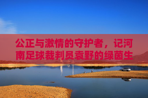 公正与激情的守护者，记河南足球裁判员袁野的绿茵生涯