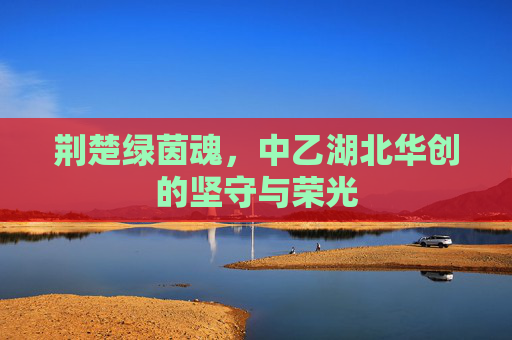 荆楚绿茵魂,中乙湖北华创的坚守与荣光