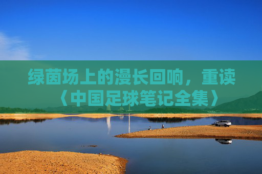 绿茵场上的漫长回响，重读〈中国足球笔记全集〉