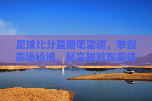 足球比分直播吧雷速，掌握赛场脉搏，畅享极致观赛体验