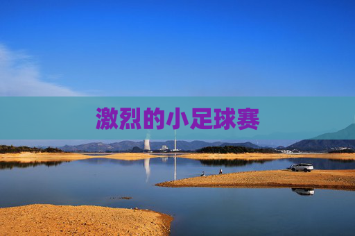 激烈的小足球赛
