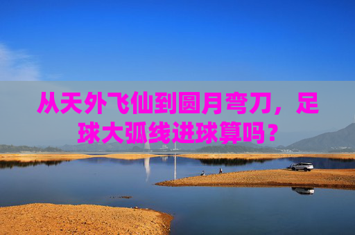 从天外飞仙到圆月弯刀，足球大弧线进球算吗？