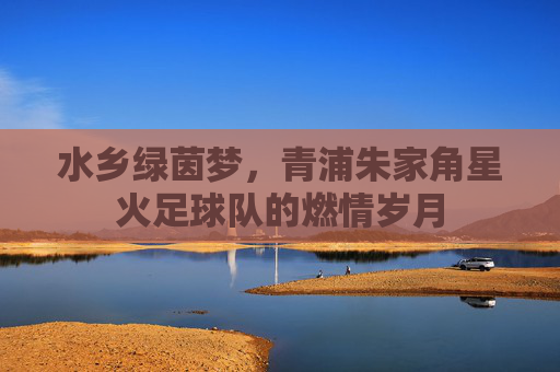水乡绿茵梦，青浦朱家角星火足球队的燃情岁月