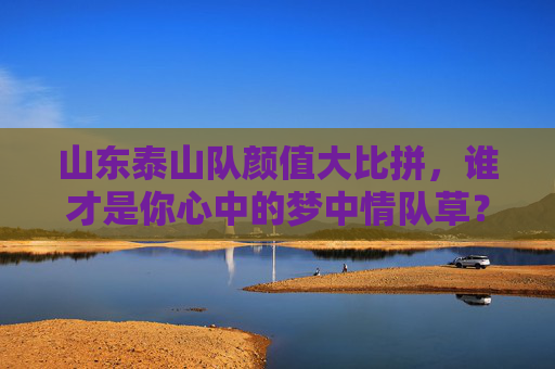 山东泰山队颜值大比拼，谁才是你心中的梦中情队草？