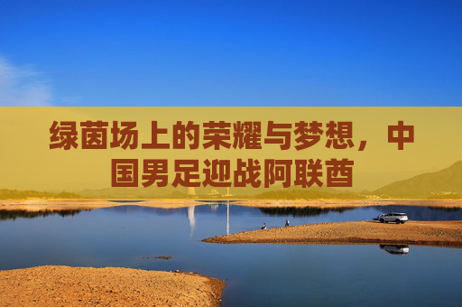 绿茵场上的荣耀与梦想,中国男足迎战阿联酋