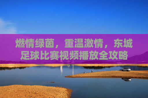 燃情绿茵，重温激情，东城足球比赛视频播放全攻略