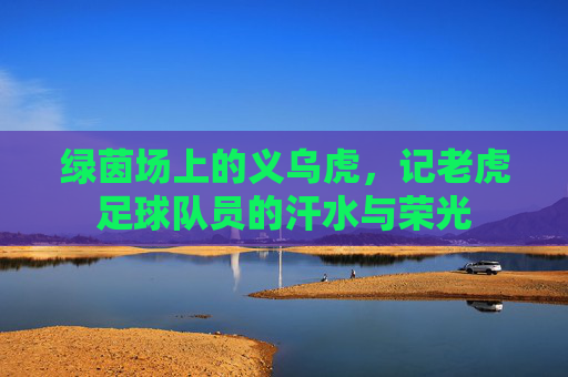 绿茵场上的义乌虎，记老虎足球队员的汗水与荣光