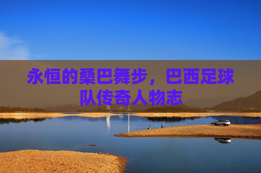 永恒的桑巴舞步,巴西足球队传奇人物志