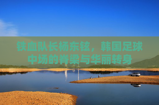 铁血队长杨东铉,韩国足球中场的脊梁与华丽转身