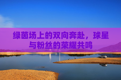 绿茵场上的双向奔赴,球星与粉丝的荣耀共鸣