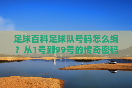 足球百科足球队号码怎么编？从1号到99号的传奇密码