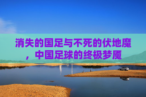 消失的国足与不死的伏地魔,中国足球的终极梦魇