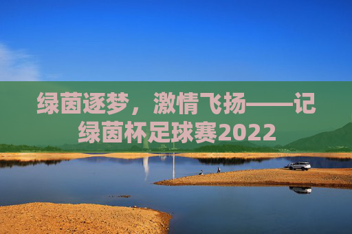 绿茵逐梦，激情飞扬——记绿茵杯足球赛2022