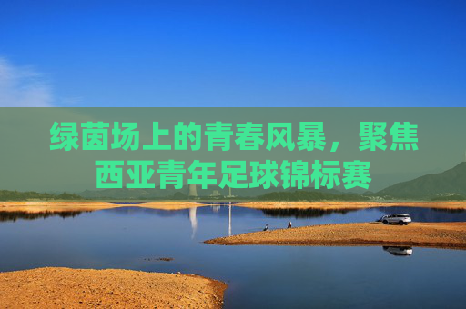 绿茵场上的青春风暴,聚焦西亚青年足球锦标赛