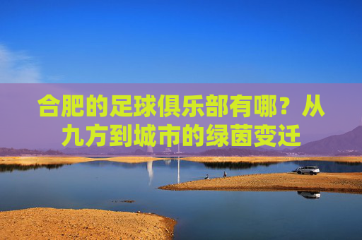 合肥的足球俱乐部有哪?从九方到城市的绿茵变迁