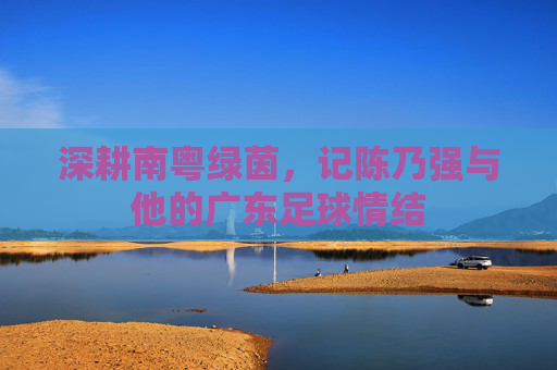 深耕南粤绿茵，记陈乃强与他的广东足球情结