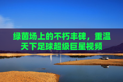 绿茵场上的不朽丰碑，重温天下足球超级巨星视频
