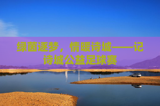 绿茵逐梦,情暖诗城——记诗城公益足球赛