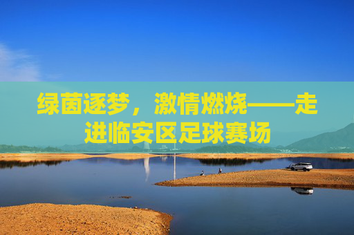 绿茵逐梦,激情燃烧——走进临安区足球赛场