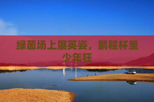 绿茵场上展英姿，鹏程杯里少年狂