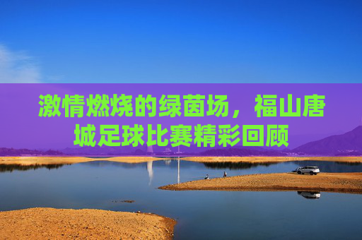 激情燃烧的绿茵场，福山唐城足球比赛精彩回顾