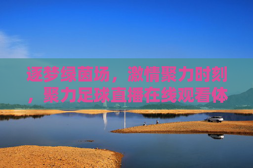 逐梦绿茵场，激情聚力时刻，聚力足球直播在线观看体验指南