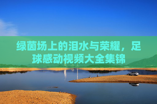 绿茵场上的泪水与荣耀，足球感动视频大全集锦